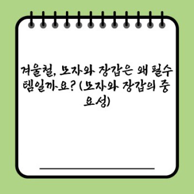 겨울철 추위 극복의 필수품: 모자와 장갑 완벽 가이드