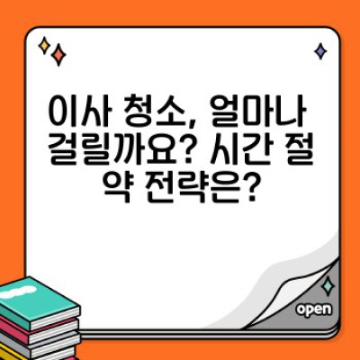 이사 청소 완벽 가이드: 넓은 공간, 효율적인 정리 & 전문 청소 방법