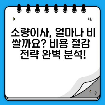 소량이사 원룸 정리 완벽 가이드: 짐 정리부터 공간 활용까지!