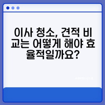 이사 청소 완벽 가이드: 현장 사례와 문제 해결 노하우 공개!