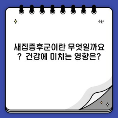 새집증후군, 이젠 안녕! 새집 냄새 확실하게 제거하는 방법 완벽 가이드