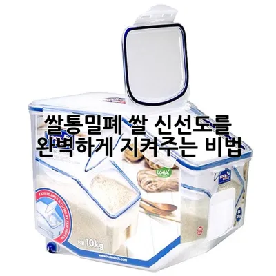 쌀통밀폐, 쌀 신선도를 완벽하게 지켜주는 비법 🍚✨