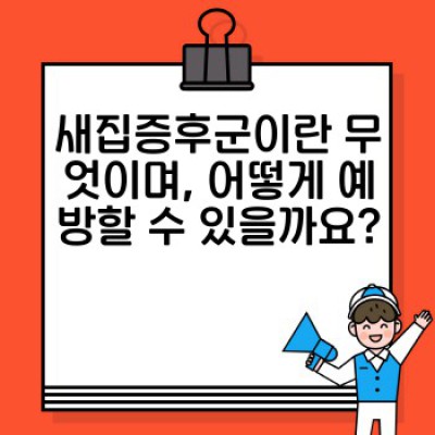 이사 청소 완벽 가이드: 새집증후군 예방까지 확실하게!