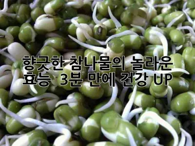 향긋한 참나물의 놀라운 효능 🌿 3분 만에 건강 UP!