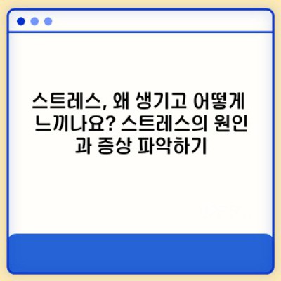 스트레스 해소 완벽 가이드: 효과적인 방법과 나에게 맞는 전략 찾기