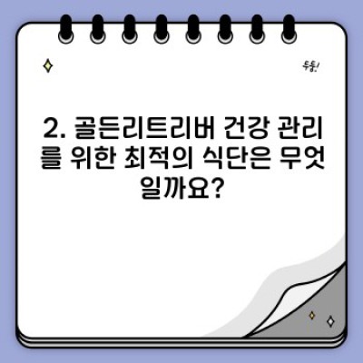 골든리트리버 건강하게 10년 키우기: 필수 건강 관리 가이드