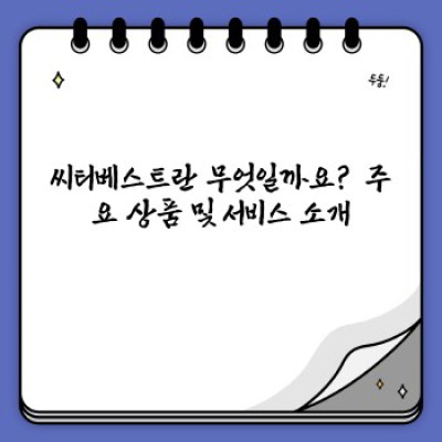 씨티베스트 종합 분석: 장단점 비교 및 선택 가이드
