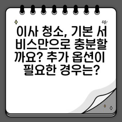 이사 청소 추가 옵션 완벽 가이드: 나에게 꼭 맞는 서비스는?