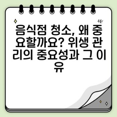 음식점 청소 완벽 가이드: 위생 관리부터 청소 절차까지 안전한 식당 환경 조성법