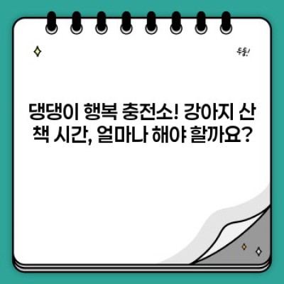 강아지 산책 시간: 댕댕이 행복, 견주 만족을 위한 완벽 가이드