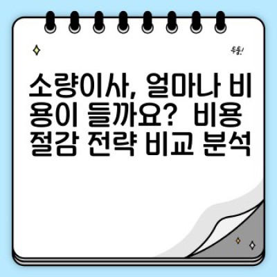 소량이사 완벽 가이드: 원룸 이사 효율성 극대화 전략