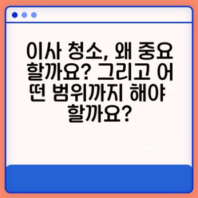 이사 청소 완벽 가이드: 환경 관리부터 재오염 방지까지! 이사 후 깨끗한 새출발을 위한 모든 것