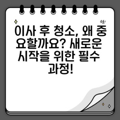 이사 후 완벽 청소 가이드: 잔여물 제거부터 공간 재배치까지!