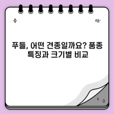 푸들 입양 가이드: 장점, 단점, 관리법, 그리고 다른 견종과의 비교까지! 완벽 정리