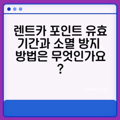 렌트카 포인트 환급 프로그램 완벽 가이드: 비용 절감과 효율적인 활용법
